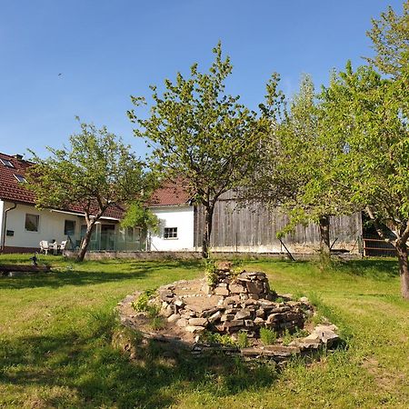 Die Alm In Schoellbuechl, Privatzimmer Sankt Martin  Zewnętrze zdjęcie