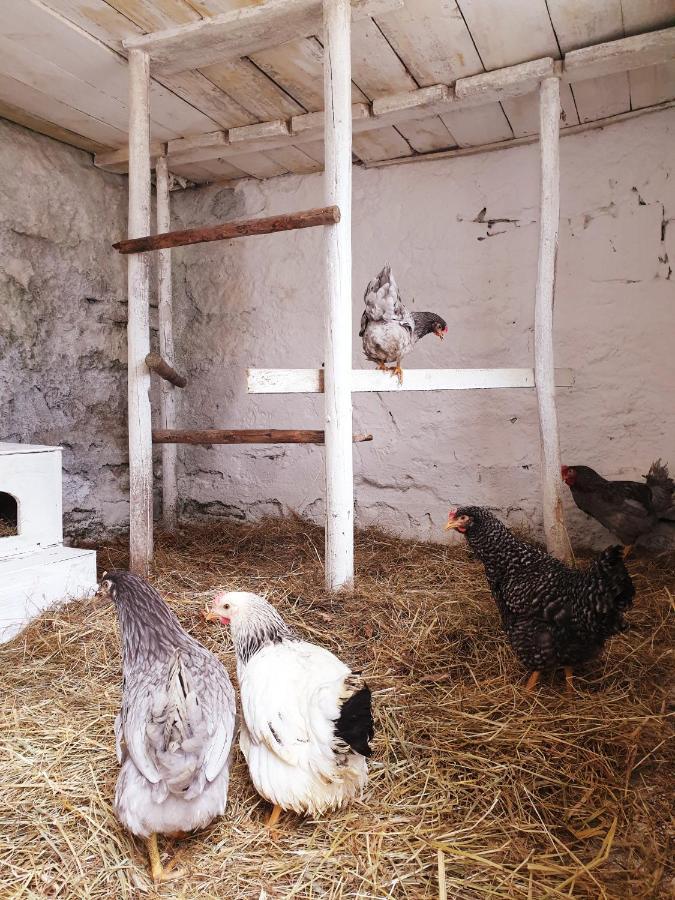 Die Alm In Schoellbuechl, Privatzimmer Sankt Martin  Zewnętrze zdjęcie